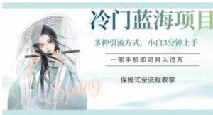 冷门蓝海项目，操作简单，小白3分钟上手，多种引流方式，保姆式全流程教学【揭秘】-财仔梦想资源网