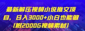最新解压视频小说推文项目，日入3000+小白也能做【揭秘】-财仔梦想资源网