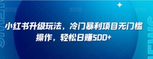 小红书升级玩法，冷门暴利项目无门槛操作，轻松日赚500+【揭秘】-财仔梦想资源网