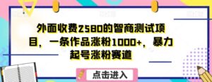 外面收费2580的智商测试项目，一条作品涨粉1000+，暴力起号涨粉赛道【揭秘】-财仔梦想资源网