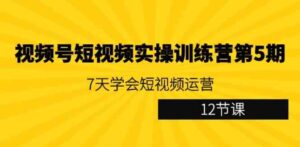 （9029期）视频号短视频实操训练营第5期：7天学会短视频运营（12节课）-财仔梦想资源网