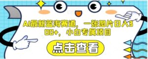 AI最新蓝海赛道，一张图片日入300+，小白专属项目【揭秘】-财仔梦想资源网