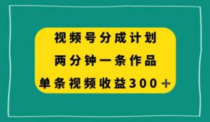 视频号分成计划，两分钟一条作品，单视频收益300+-财仔梦想资源网