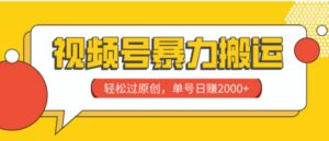 视频号暴力搬运，轻松过原创，单号日赚2000+-财仔梦想资源网