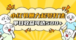小红书暴力起号秘籍，11月最新玩法，单天变现500+，素人冷启动自媒体创业【揭秘】-财仔梦想资源网