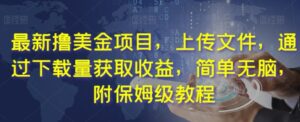 最新撸美金项目，上传文件，通过下载量获取收益，简单无脑，附保姆级教程【揭秘】-财仔梦想资源网
