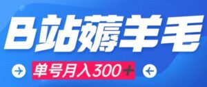 b站薅羊毛，0门槛提现，单号每月300＋可矩阵操作-财仔梦想资源网