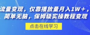 流量变现，仅靠播放量月入1W＋，简单无脑，保姆级实操教程【揭秘】-财仔梦想资源网