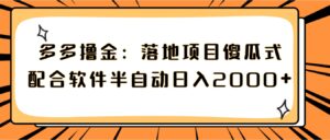 多多撸金：落地项目傻瓜式配合软件半自动日入2000+-财仔梦想资源网