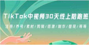 TikTok中视频-30天线上陪跑班：注册/养号/素材/剪辑/搭建/制作/提现/等等-财仔梦想资源网