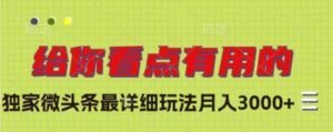 独家微头条最详细玩法，月入3000+【揭秘】-财仔梦想资源网