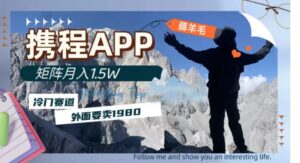 携程APP薅羊毛，外面卖1980的冷门赛道，矩阵月入1.5w-财仔梦想资源网