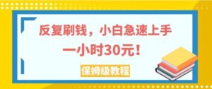 反复刷钱，小白急速上手，一个小时30元，实操教程。-财仔梦想资源网