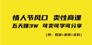 情人节风口！卖性商课，小白五天赚3W，可卖可学可分享！-财仔梦想资源网
