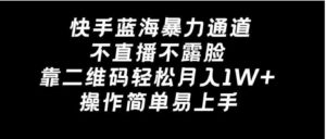 快手蓝海暴力通道，不直播不露脸，靠二维码轻松月入1W+，操作简单易上手-财仔梦想资源网