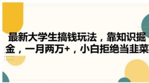 最新大学生搞钱玩法，靠知识掘金，一月两万+，小白拒绝当韭菜【揭秘】-财仔梦想资源网