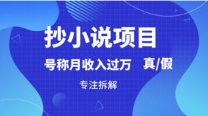 抄小说项目，号称月入过万，到底是否真实，能不能做，详细拆解-财仔梦想资源网