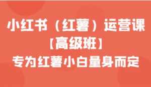 小红书运营课【高级班】，专为红薯小白量身而定-财仔梦想资源网