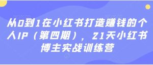 从0到1在小红书打造赚钱的个人IP，21天小红书博主实战训练营-财仔梦想资源网