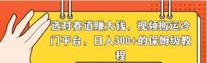 选对赛道赚大钱，视频搬运冷门平台，日入500+的保姆级教程-财仔梦想资源网