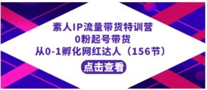 繁星·计划素人IP流量带货特训营：0粉起号带货从0-1孵化网红达人-财仔梦想资源网
