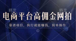 电商平台高佣金网拍，靠谱项目，执行就能赚钱，简单操作-财仔梦想资源网