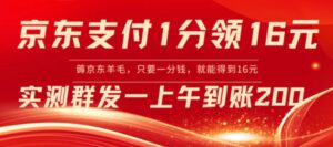 京东支付1分得16元实操到账200-财仔梦想资源网