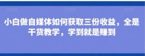 小白做自媒体如何获取三份收益，全是干货教学，学到就是赚到-财仔梦想资源网