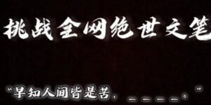 视频号小众玩法，文笔挑战，互动拉满，轻松赚取分成收益！小白也可当天上手-财仔梦想资源网