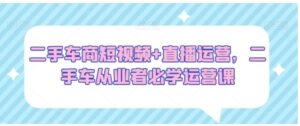 外面收费12000的playtube撸美金项目，单日收益30美金+工作室可批量搞【揭秘】-财仔梦想资源网