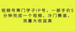 视频号寒门学子IP号，一部手价5分钟完成一个视频，冷门赛道，流量大收益高【揭秘】-财仔梦想资源网