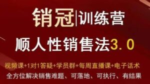 爆款！销冠训练营3.0之顺人性销售法，全方位解决销售难题、可落地、可执行、有结果-财仔梦想资源网