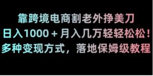 靠跨境电商割老外挣美刀，日入1000＋月入几万轻轻松松！多种变现方式，落地保姆级教程【揭秘】-财仔梦想资源网