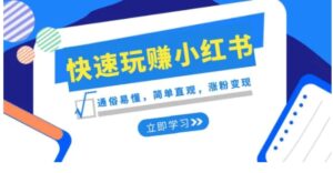 新赛道·快速玩赚小红书：通俗易懂，简单直观，涨粉变现-财仔梦想资源网