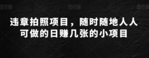 违章拍照项目，随时随地人人可做的日赚几张的小项目-财仔梦想资源网