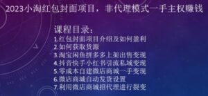 2023小淘红包封面项目，非代理模式一手主权赚钱-财仔梦想资源网
