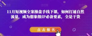 11月短视频全案操盘手线下课，如何打通自然流量，成为想象级IP必备要素，全是干货-财仔梦想资源网