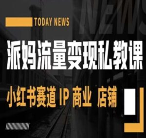 派妈流量变现私教课，小红书赛道IP商业店铺-财仔梦想资源网