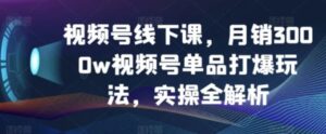 视频号线下课，月销3000w视频号单品打爆玩法，实操全解析-财仔梦想资源网