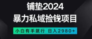 暴力私域捡钱项目，小白无脑操作，日入2980【揭秘】-财仔梦想资源网