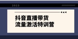 抖音直播带货-流量激活特训营，入行新手小白主播必学-财仔梦想资源网