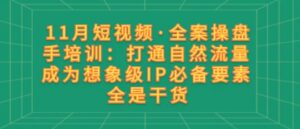 11月短视频·全案操盘手培训：打通自然流量成为想象级IP必备要素全是干货-财仔梦想资源网