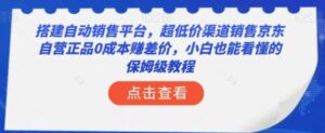 搭建自动销售平台，超低价渠道销售京东自营正品0成本赚差价，小白也能看懂的保姆级教程【揭秘】-财仔梦想资源网