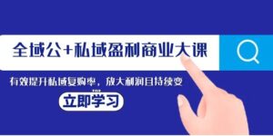 全域公+私域盈利商业大课，有效提升私域复购率，放大利润且持续变现-财仔梦想资源网