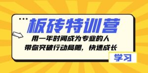 板砖特训营，用一年时间成为专业的人，带你突破行动局限，快速成长-财仔梦想资源网