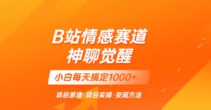 通过国外接码平台掘金卖账号：单号成本1.3，利润10＋，轻松月入1万＋-财仔梦想资源网
