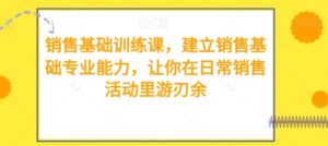 销售基础训练课，建立销售基础专业能力，让你在日常销售活动里游刃余-财仔梦想资源网