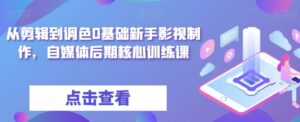 从剪辑到调色0基础新手影视制作，自媒体后期核心训练课-财仔梦想资源网