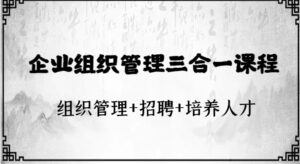 企业组织管理三合一课程：组织管理+招聘+培养人才-财仔梦想资源网