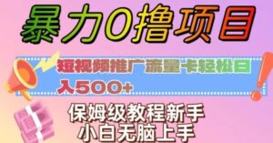 暴力0撸项目：短视频推广流量卡轻松日入500+，保姆级教程新手小白无脑上手【揭秘】-财仔梦想资源网